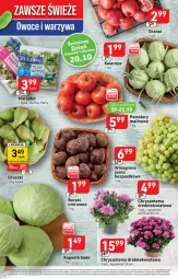 Gazetka promocyjna Stokrotka - Gazetka - ważna od 25.10 do 25.10.2023 - strona 20 - produkty: Warzywa, Sok, Gra, Chryzantema, Granat, Gruszki, Buraki, Pomidory, Mięso