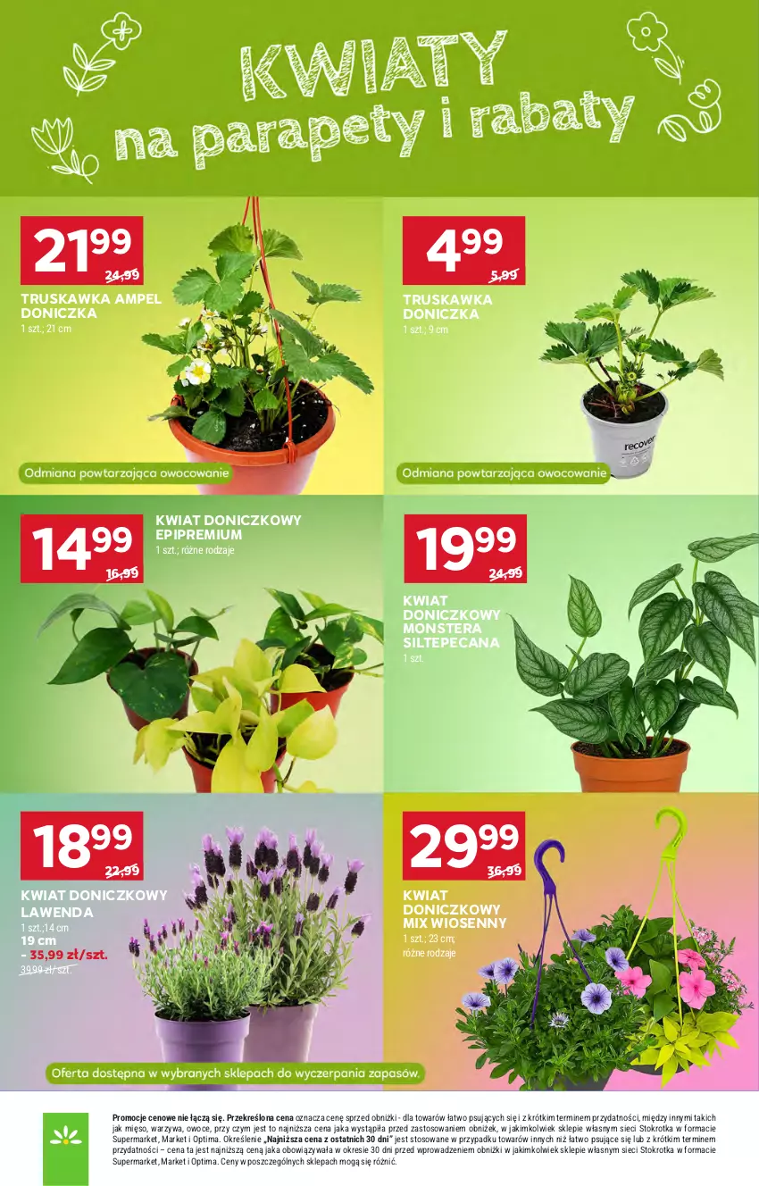 Gazetka promocyjna Stokrotka - Market - ważna 23.04 do 28.04.2026 - strona 39 - produkty: Mięso, Optima, Owoce, Tera, Warzywa