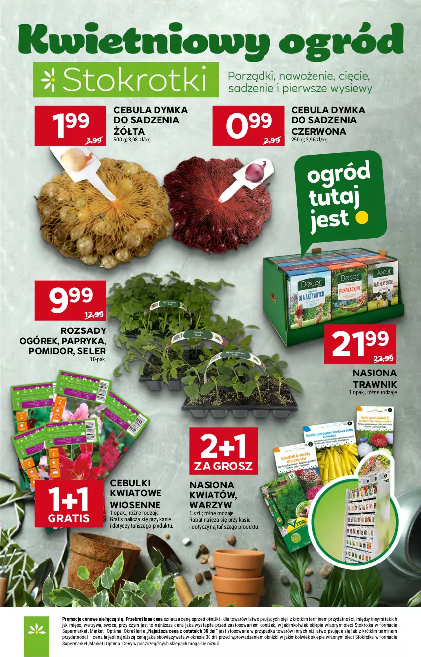 Gazetka promocyjna Stokrotka - Market - ważna 23.04 do 28.04.2026 - strona 41 - produkty: Cebula, Gra, Mięso, Ogórek, Optima, Owoce, Papryka, Warzywa