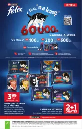 Gazetka promocyjna Stokrotka - Market - Gazetka - ważna od 28.04 do 28.04.2026 - strona 43 - produkty: Warzywa, Gra, Optima, Owoce, Felix, Mięso