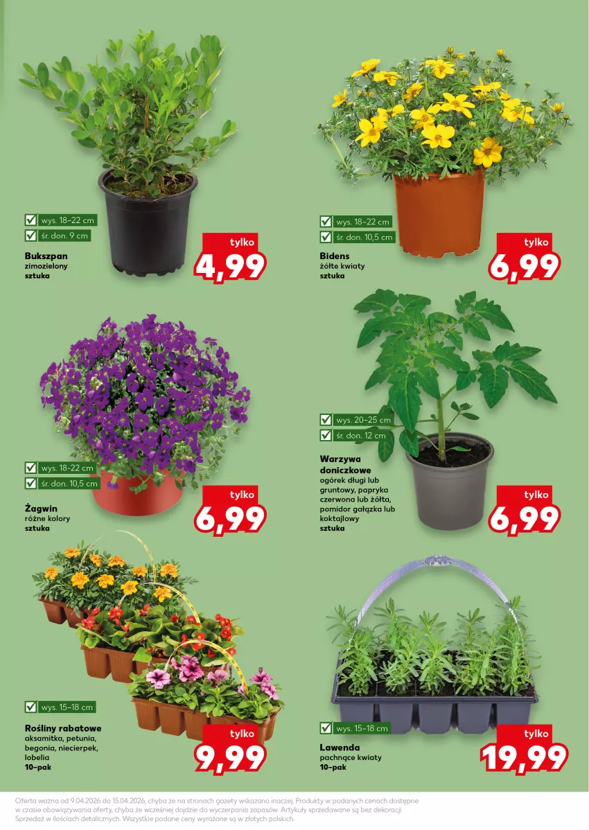 Gazetka promocyjna Kaufland - Kaufland - ważna 09.04 do 15.04.2026 - strona 11 - produkty: Aksam, Grunt, Ogórek, Papryka, Papryka czerwona, Ser, Warzywa