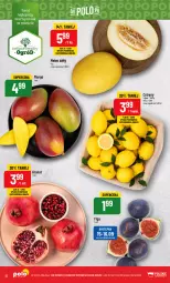 Gazetka promocyjna PoloMarket - Gazetka pomocyjna - Gazetka - ważna od 19.09 do 19.09.2023 - strona 12 - produkty: Gra, Granat, Cytryny, Mango, Ogród, Melon