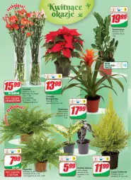 Gazetka promocyjna Dino - Gazetka 46 - Gazetka - ważna od 21.11 do 21.11.2023 - strona 19 - produkty: Sok
