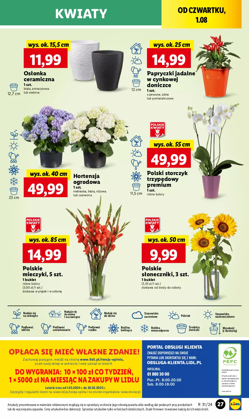 Gazetka promocyjna Lidl - GAZETKA - ważna 01.08 do 03.08.2024 - strona 33 - produkty: Bukiet, Cień, Cynk, Gra, Miecz, Mola, O nas, Osłonka, Por, Sok, Storczyk