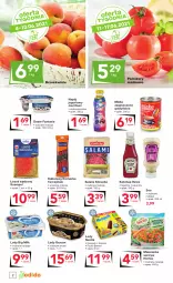 Gazetka promocyjna Odido - Letnie OKAZJE - Gazetka - ważna od 17.06 do 17.06.2021 - strona 2 - produkty: Ketchup, Sos, Ser, Gry, Salami, Nesquik, Jogurt, Kaktus, Suempol, Big Milk, Napój jogurtowy, Lody, Tarczyński, Brzoskwinie, Mleko zagęszczone, Fanta, Kabanos, Deser, Napój, Pomidory, Heinz, Nestlé, Mieszanka warzyw, Hortex, Mleko, Fa