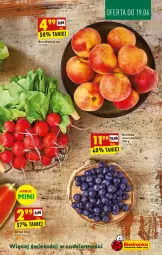 Gazetka promocyjna Biedronka - W tym tygodniu PN - Gazetka - ważna od 23.06 do 23.06.2021 - strona 13 - produkty: Gra, Arbuz