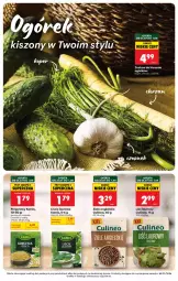 Gazetka promocyjna Biedronka - Gazetka - Gazetka - ważna od 07.08 do 07.08.2026 - strona 2 - produkty: Chrzan, Gra, Czosnek, Kret, Laur, Przyprawy, Kamis, Ziele angielskie, Grafika