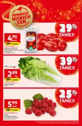 Gazetka promocyjna Auchan - Pewność Niskich Cen Hipermarket - Gazetka - ważna od 27.11 do 27.11.2024 - strona 10 - produkty: Maliny
