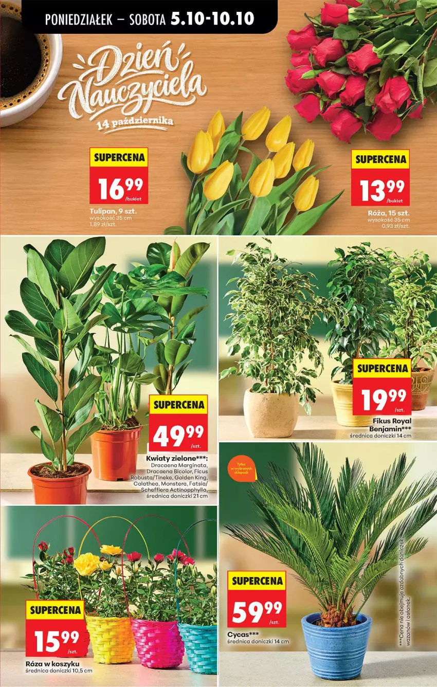 Gazetka promocyjna Biedronka - Od Poniedziałku - ważna 05.10 do 07.10.2026 - strona 21 - produkty: BIC, Bukiet, Fa, Gin, Kosz, Tera, Wazon