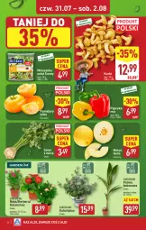 Gazetka promocyjna Aldi - Pełna oferta - Gazetka - ważna od 02.08 do 02.08.2025 - strona 32 - produkty: Sok, Gerber, Róża, Papryka, Kalanchoe, Palma, Sałat, Mieszanka sałat, Pomidory, Melon, Kokos