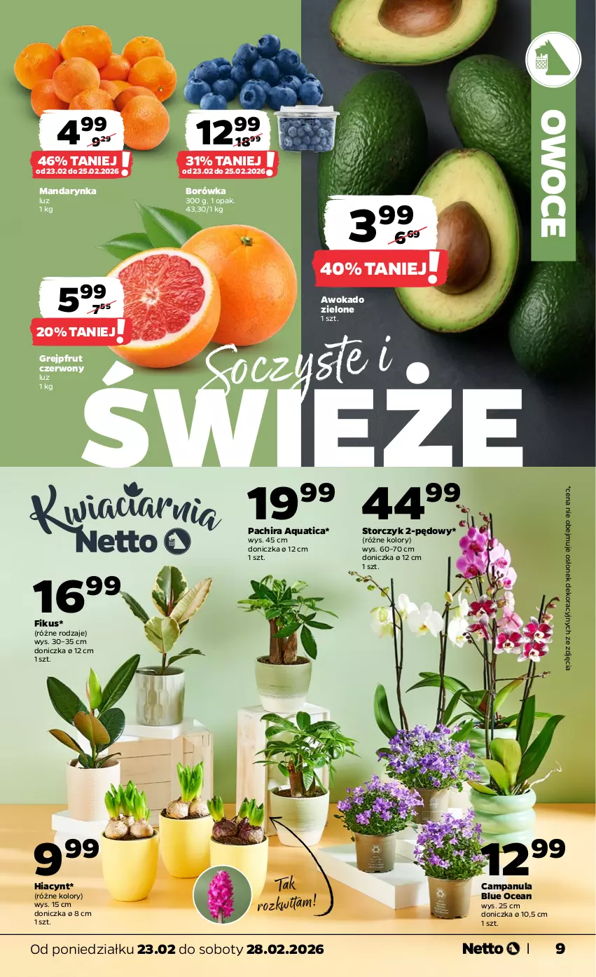 Gazetka promocyjna Netto - Od Poniedziałku - ważna 23.02 do 28.02.2026 - strona 9 - produkty: Borówka, Campanula, Grejpfrut, Hiacynt, Owoce, Storczyk