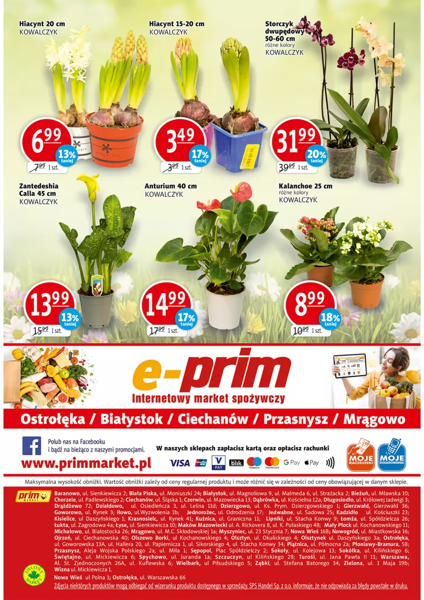 Gazetka promocyjna Prim Market - Gazetka - ważna 04.03 do 10.03.2021 - strona 16 - produkty: Fa, Hiacynt, Kalanchoe