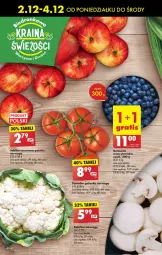 Gazetka promocyjna Biedronka - Od Poniedziałku - Gazetka - ważna od 07.12 do 07.12.2024 - strona 26 - produkty: Kalafior, Borówka