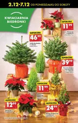 Gazetka promocyjna Biedronka - Od Poniedziałku - Gazetka - ważna od 07.12 do 07.12.2024 - strona 73 - produkty: Sok, Poinsecja, Kask, Ozdoba