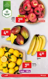 Gazetka promocyjna PoloMarket - Gazetka pomocyjna - Gazetka - ważna od 02.05 do 02.05.2023 - strona 10 - produkty: Banany, Cytryny, Ogród, Jabłka