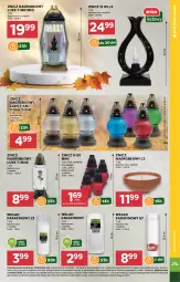 Gazetka promocyjna Stokrotka - otw bez lady - Gazetka - ważna od 12.09 do 12.09.2025 - strona 41 - produkty: Warzywa, Znicz, Owoce, Mięso