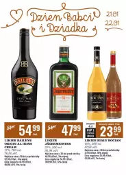Gazetka promocyjna Biedronka - Czas na Toast - Gazetka - ważna od 28.01 do 28.01.2024 - strona 6 - produkty: Biały Bocian, Gin, Jagermeister, Likier