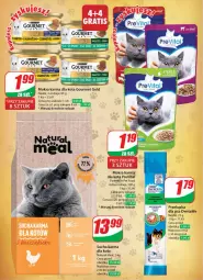 Gazetka promocyjna Dino - Gazetka 16 / 2024 - Gazetka - ważna od 23.04 do 23.04.2024 - strona 54 - produkty: Mokra karma, Mus, Gry, Gourmet Gold, Sucha karma