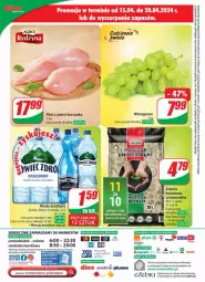 Gazetka promocyjna Dino - Gazetka 16 / 2024 - Gazetka - ważna od 23.04 do 23.04.2024 - strona 60 - produkty: Kurczak, Ser, Filet z piersi kurczaka, Perfum, Tera, LANA, Woda, Wino, Fa