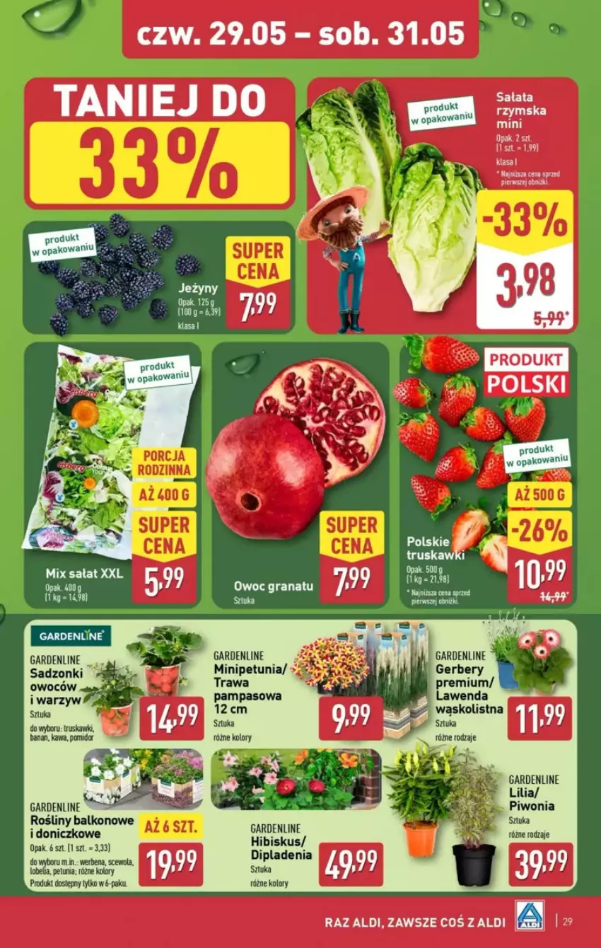 Gazetka promocyjna Aldi - ważna 25.05 do 31.05.2025 - strona 65 - produkty: EPEE, Gerber, Hibiskus, Kawa, Piwo, Sałat, Truskawki