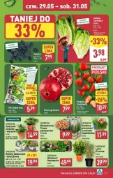 Gazetka promocyjna Aldi - Gazetka - ważna od 31.05 do 31.05.2025 - strona 65 - produkty: Piwo, Gerber, Hibiskus, Truskawki, Kawa, Sałat, EPEE