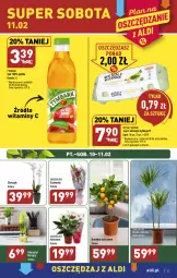 Gazetka promocyjna Aldi - Pełny katalog - Gazetka - ważna od 11.02 do 11.02.2023 - strona 21 - produkty: Sok, Hiacynt, Jaja, Storczyk, Tymbark, Narcyz, Jaja z wolnego wybiegu
