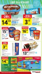 Gazetka promocyjna Intermarche - Gazetka - ważna od 17.07 do 17.07.2024 - strona 21 - produkty: Goplana, Kit Kat, Gra, Kaktus, Big Milk, Wafle do lodów, Wafle, Lody, LANA, Rolada, Oreo