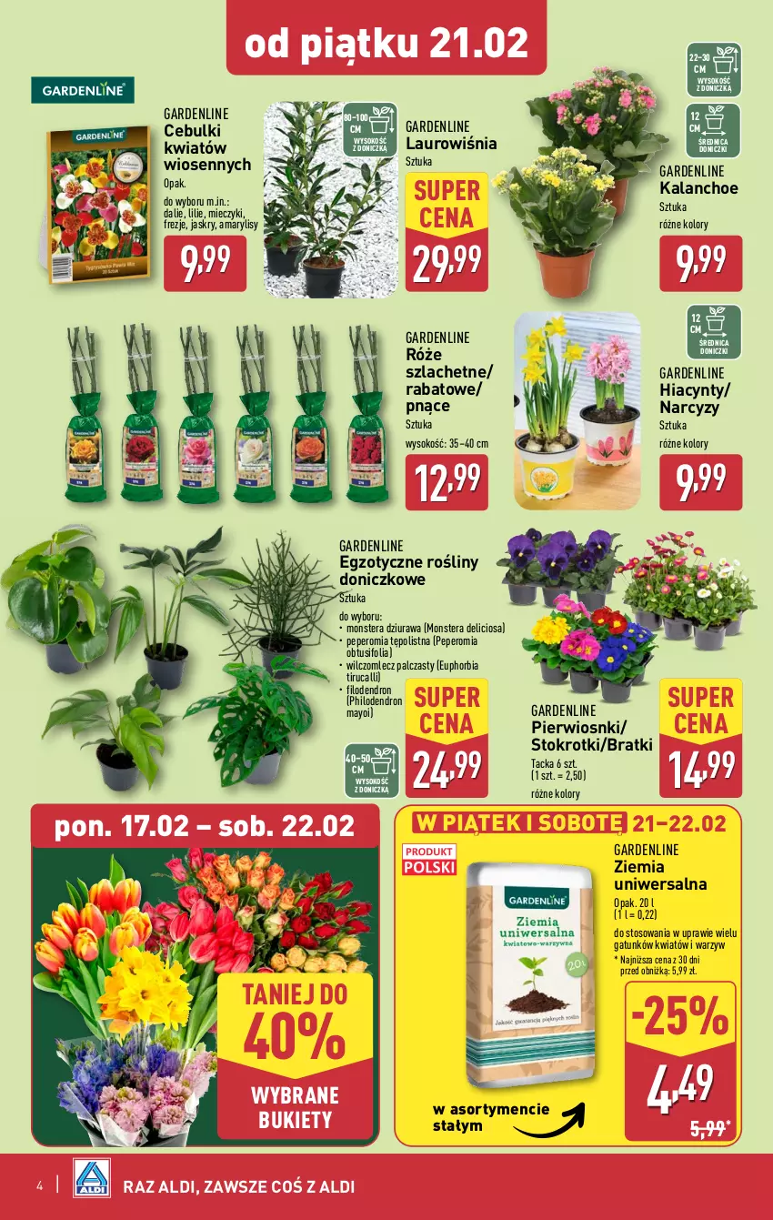 Gazetka promocyjna Aldi - Okazje na weekend - ważna 20.02 do 22.02.2025 - strona 4 - produkty: Amarylis, Bukiet, Hiacynt, Kalanchoe, Laur, Miecz, Narcyz, Sok, Tera