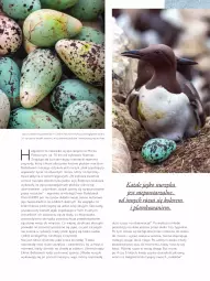 Gazetka promocyjna Kaufland - Magazyn