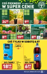 Gazetka promocyjna Aldi - Pełen katalog od 3.07 - Gazetka - ważna od 08.07 do 08.07.2023 - strona 25 - produkty: Sok, Hibiskus, Kawa mielona, Kawa, Pepsi, Nawóz