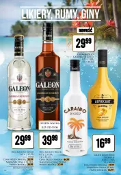 Gazetka promocyjna Dino - Katalog alkoholowy / sierpień 2024 - Gazetka - ważna od 17.08 do 17.08.2024 - strona 16 - produkty: Rum, Gin, Lack, Leon, Likier