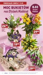Gazetka promocyjna Aldi - Katalog spożywczy - Gazetka - ważna od 12.03 do 12.03.2022 - strona 14 - produkty: Sok, Tulipan, Bukiet