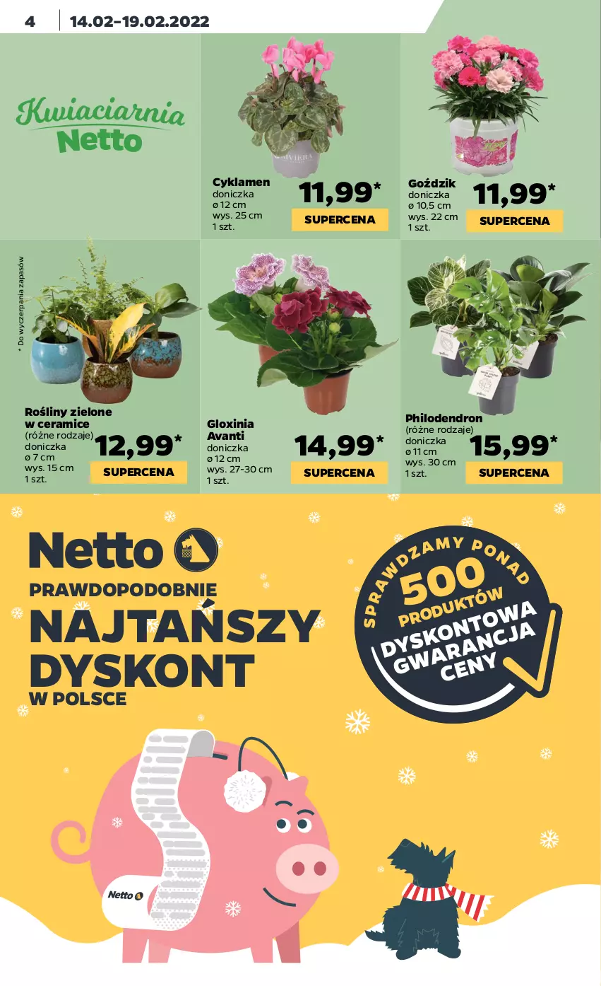 Gazetka promocyjna Netto - Gazetka spożywcza - ważna 14.02 do 19.02.2022 - strona 4 - produkty: Cyklamen