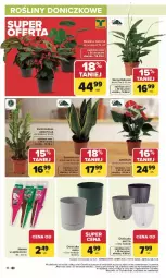 Gazetka promocyjna Carrefour - Gazetka Łap super okazje od poniedziałku! - Gazetka - ważna od 31.01 do 31.01.2026 - strona 16 - produkty: Brit, Nawóz