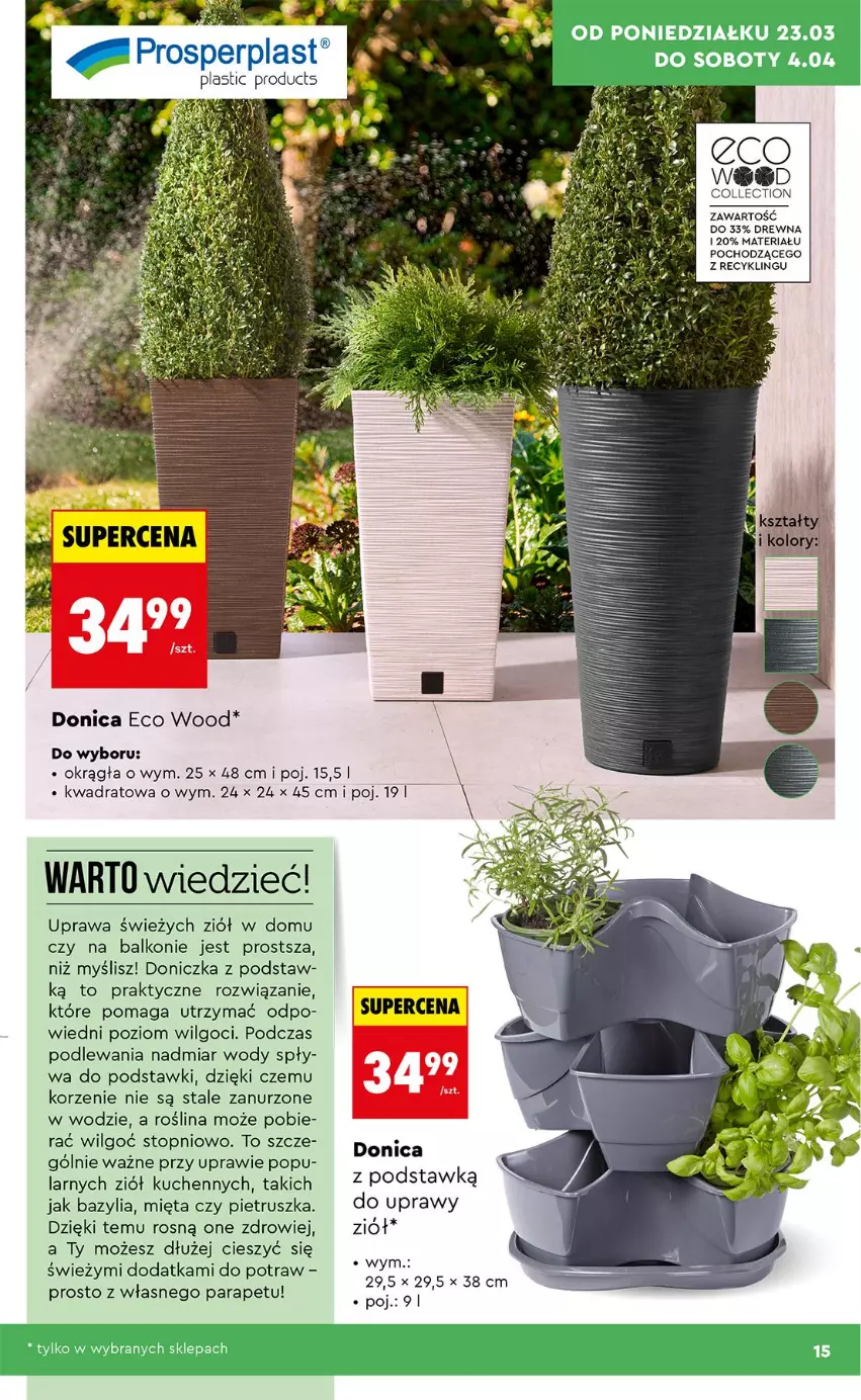 Gazetka promocyjna Biedronka - Gazetka - ważna 23.03 do 30.03.2026 - strona 15 - produkty: Bazyl, Bazylia, LG, Mięta, Pietruszka, Top, Zdrowie