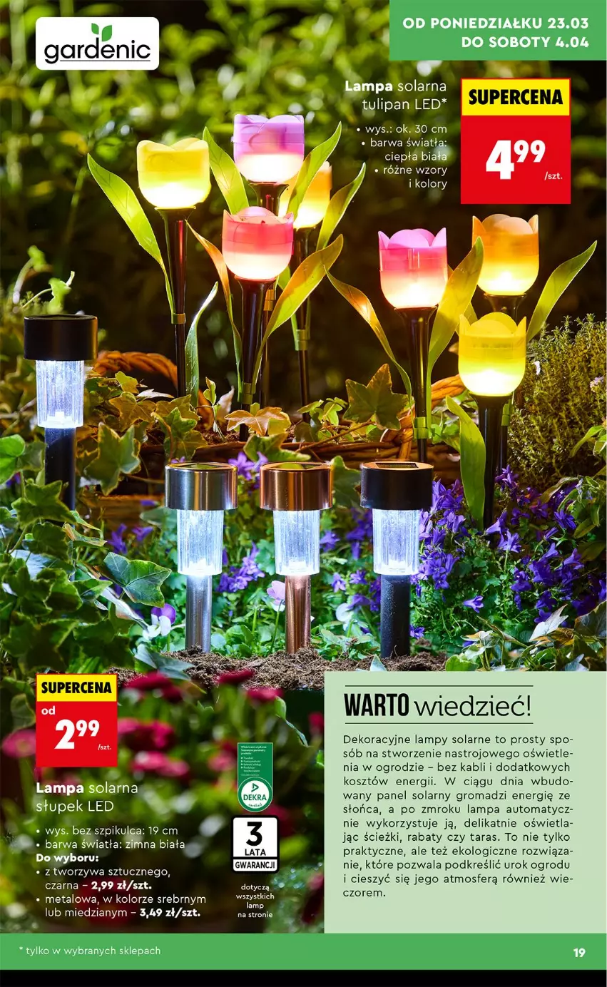 Gazetka promocyjna Biedronka - Gazetka - ważna 23.03 do 30.03.2026 - strona 19 - produkty: Kosz, Lampa, Ser, Słupek, Tulipan