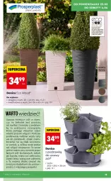 Gazetka promocyjna Biedronka - Gazetka - Gazetka - ważna od 30.03 do 30.03.2026 - strona 15 - produkty: Top, Pietruszka, Zdrowie, Bazyl, Bazylia, Mięta, LG