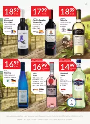 Gazetka promocyjna Stokrotka - Katalog Sylwester - Gazetka - ważna od 11.01 do 11.01.2023 - strona 17 - produkty: Rum, Vermouth, Wino
