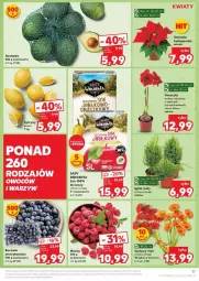 Gazetka promocyjna Kaufland - Gazetka - ważna od 27.11 do 27.11.2024 - strona 3 - produkty: Puma, Sok, Gerber, Cytryny, Maliny