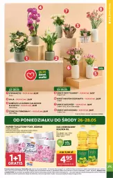 Gazetka promocyjna Stokrotka - Supermarket - Gazetka - ważna od 28.05 do 28.05.2025 - strona 5 - produkty: Warzywa, Por, Gra, Papier, Tulipan, Kwiaty cięte, Kosz, Kalanchoe, Wazon, Papier toaletowy, Storczyk, Bukiet, Foxy, Olej rzepakowy, Owoce, Olej, Mięso