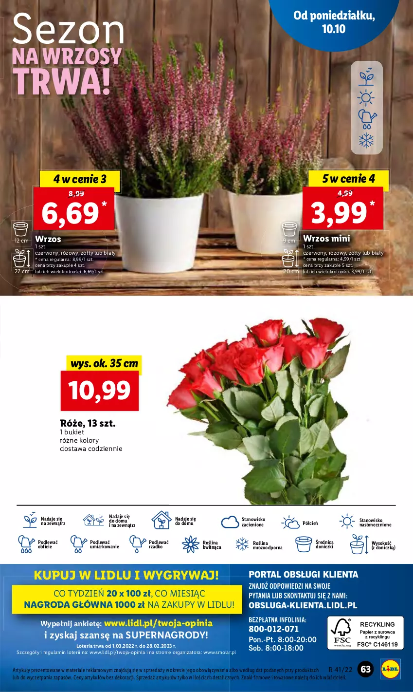 Gazetka promocyjna Lidl - GAZETKA - ważna 10.10 do 12.10.2022 - strona 74 - produkty: Bukiet, Cień, Gry, Mola, O nas, Por, Sok