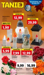 Gazetka promocyjna Lidl - GAZETKA - Gazetka - ważna od 12.10 do 12.10.2022 - strona 64 - produkty: Róża, Chryzantema, Znicz