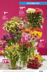 Gazetka promocyjna Aldi - Gazetka - ważna od 29.05 do 29.05.2021 - strona 23 - produkty: Sok, Gerber, Tulipan, Bukiet