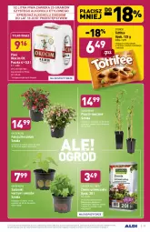 Gazetka promocyjna Aldi - Gazetka - ważna od 29.05 do 29.05.2021 - strona 27 - produkty: Piwa, Piwo, Sok, Koc, Gra, Kiwi, Tera, Piwo jasne, Winogrona, Toffifee, Wino, Okocim