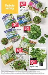 Gazetka promocyjna Stokrotka - Market - Gazetka - ważna od 06.03 do 06.03.2024 - strona 8 - produkty: Warzywa, Sałat, Bazyl, Owoce, Mieszanka sałat, Bazylia, Mięta, Mięso, Szpinak