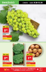 Gazetka promocyjna Biedronka - Od Czwartku - Gazetka - ważna od 15.10 do 15.10.2025 - strona 23 - produkty: Cebula, Wino