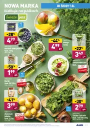 Gazetka promocyjna Aldi - ALE! CENA - Gazetka - ważna od 11.04 do 11.04.2021 - strona 17 - produkty: Zioła w doniczce, Ziemniaki, Sałat, Kiełki, Półka, Mango