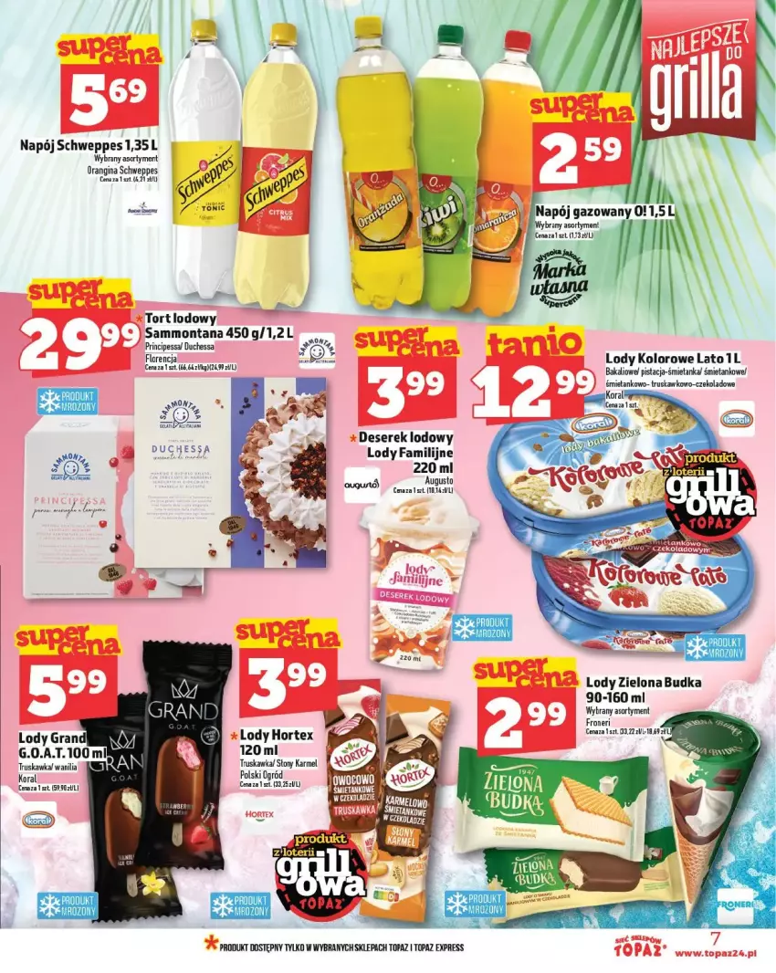 Gazetka promocyjna Topaz - ważna 15.05 do 21.05.2025 - strona 26 - produkty: Deser, Fa, Gin, Gra, Hortex, Lody, Napój, Ogród, Schweppes, Ser, Serek, Top, Zielona Budka