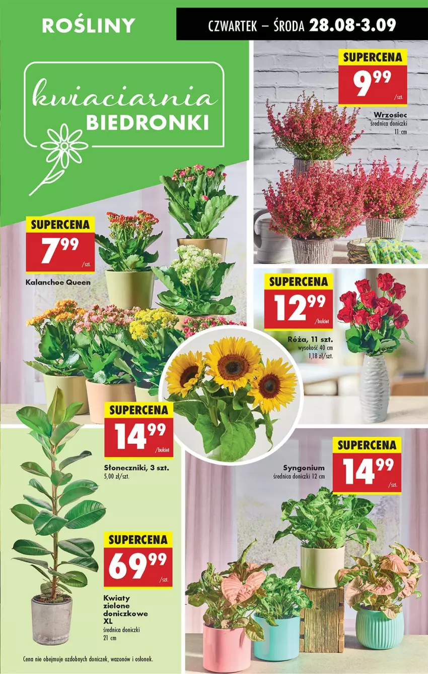 Gazetka promocyjna Biedronka - Od Czwartku - ważna 28.08 do 03.09.2025 - strona 25 - produkty: Sok, Wazon