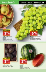 Gazetka promocyjna Biedronka - Od Czwartku - Gazetka - ważna od 03.09 do 03.09.2025 - strona 19 - produkty: Arbuz, Wino